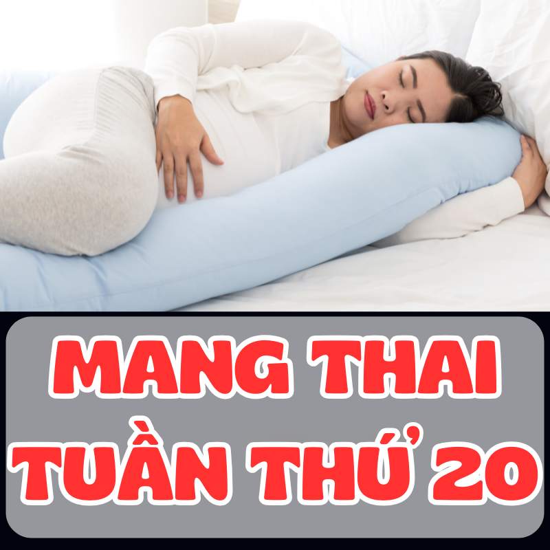 Tâm trạng của mẹ bầu khi mang thai tuần thứ 20